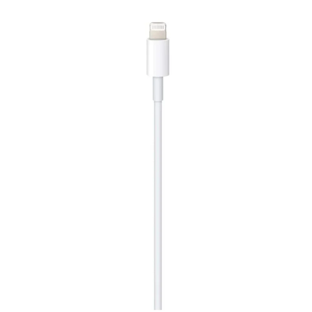 Apple Lightning to USB-C Cable (1 m)